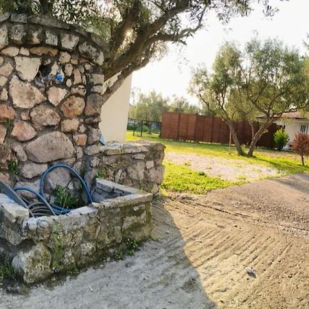 הוילה Tagarades Πετρινη Κατοικια Στην Φυση מראה חיצוני תמונה