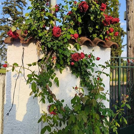 הוילה Tagarades Πετρινη Κατοικια Στην Φυση מראה חיצוני תמונה