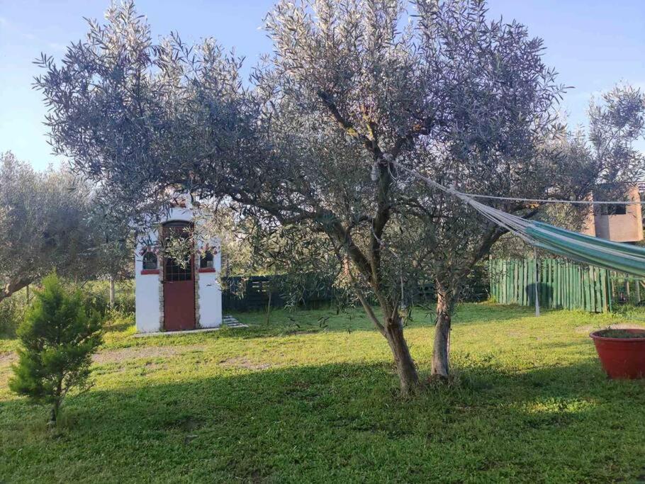 הוילה Tagarades Πετρινη Κατοικια Στην Φυση מראה חיצוני תמונה